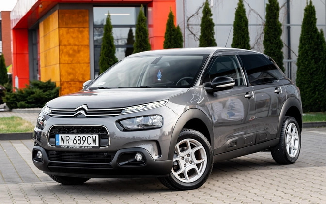 Citroen C4 Cactus cena 61500 przebieg: 46000, rok produkcji 2020 z Dzierzgoń małe 742